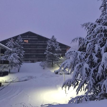 Auron Montain View Lägenhet Exteriör bild